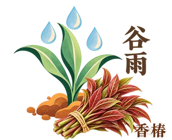 谷雨