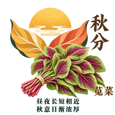 秋分